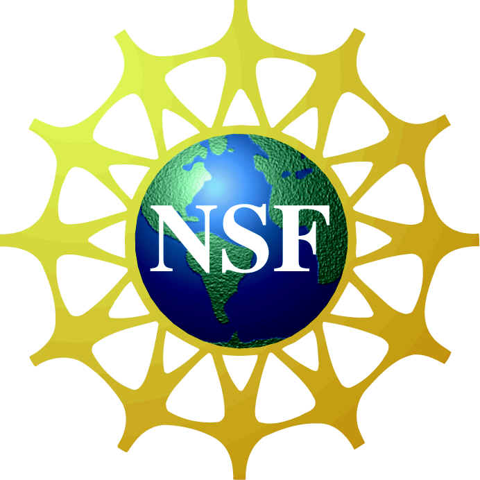 Logo NSF